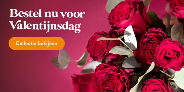 Teaser Valentines NL 600x300